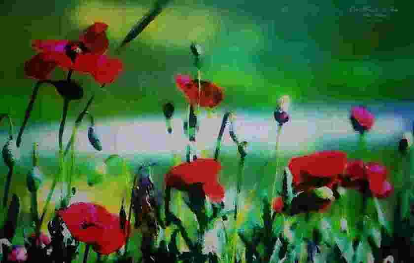 one-moment-in-time-california-red-poppies_1531663183g5An9I.jpeg