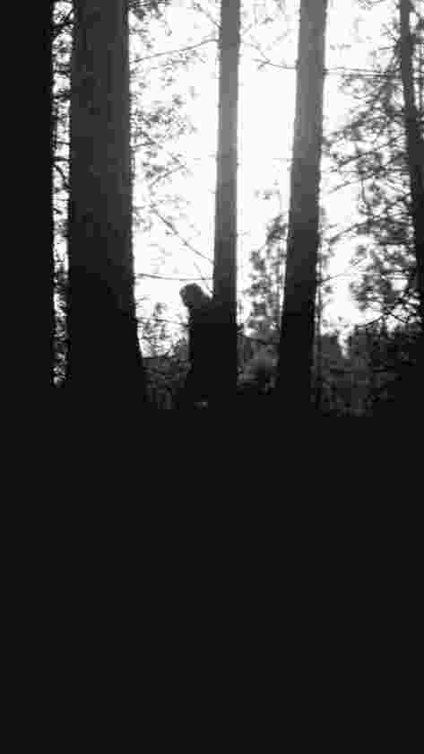 one-moment-in-time-dark-woods_1531715286KbNJSe.jpeg